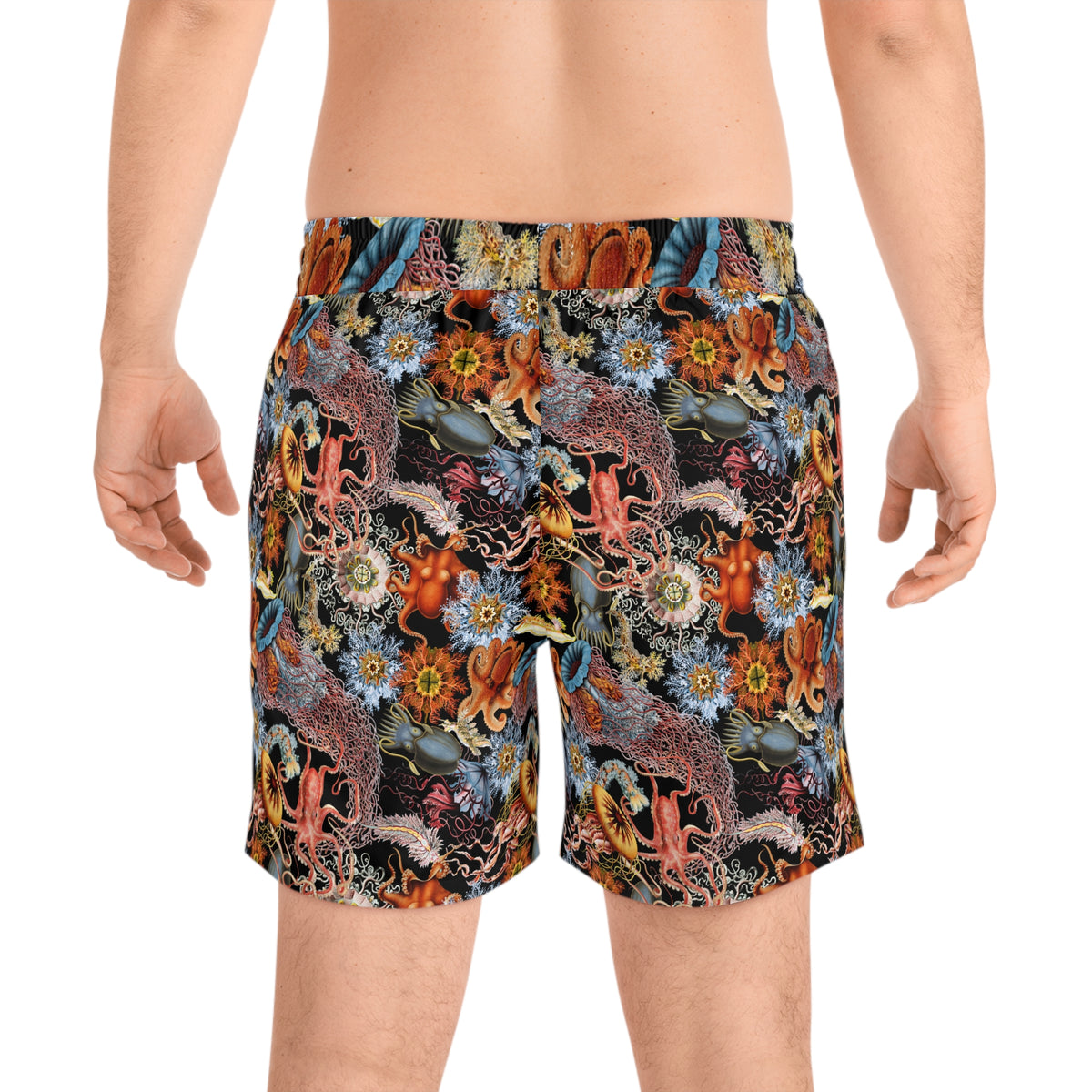 Colorful Sealife Swim Shorts - Octopus, Jellyfish and Sea Urchins